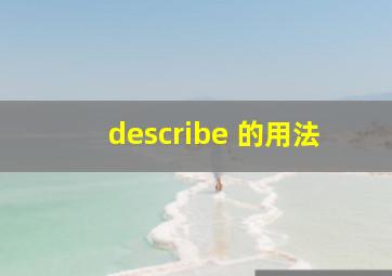 describe 的用法